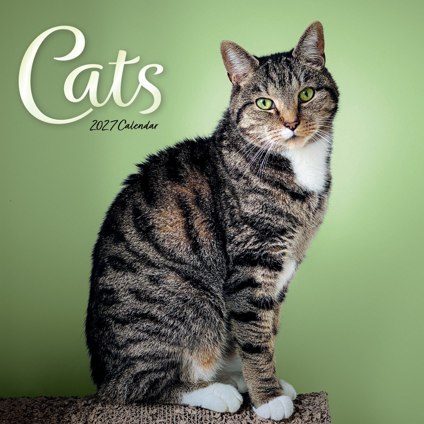 Cats Wall Calendar 2027