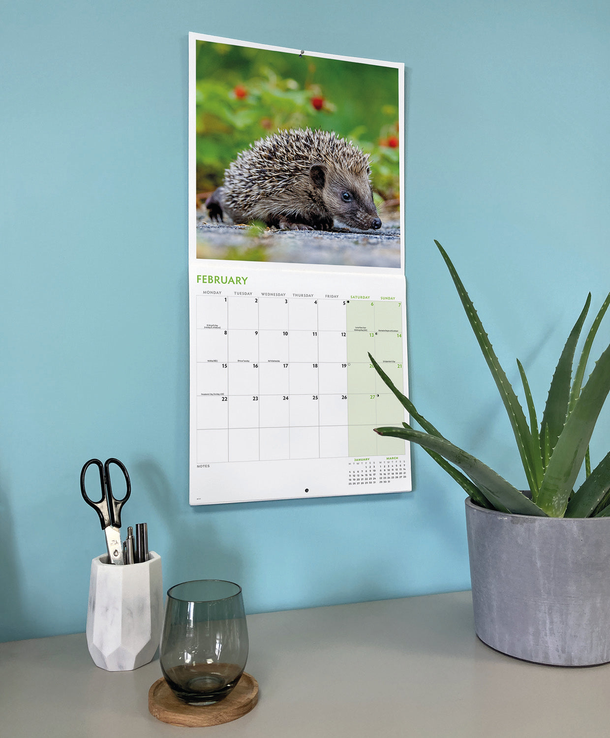 Hedgehogs Wall Calendar 2027