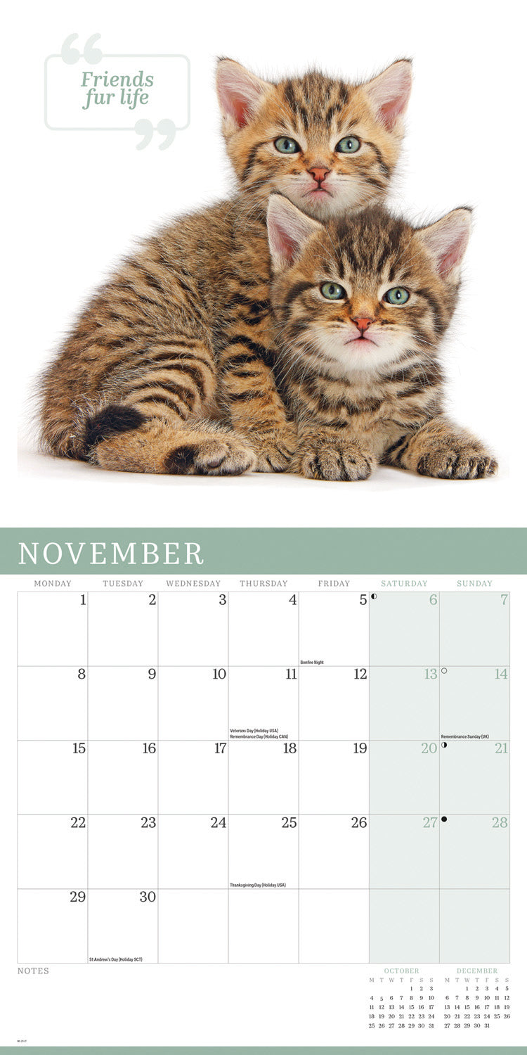 Cute Cats Wall Calendar 2027