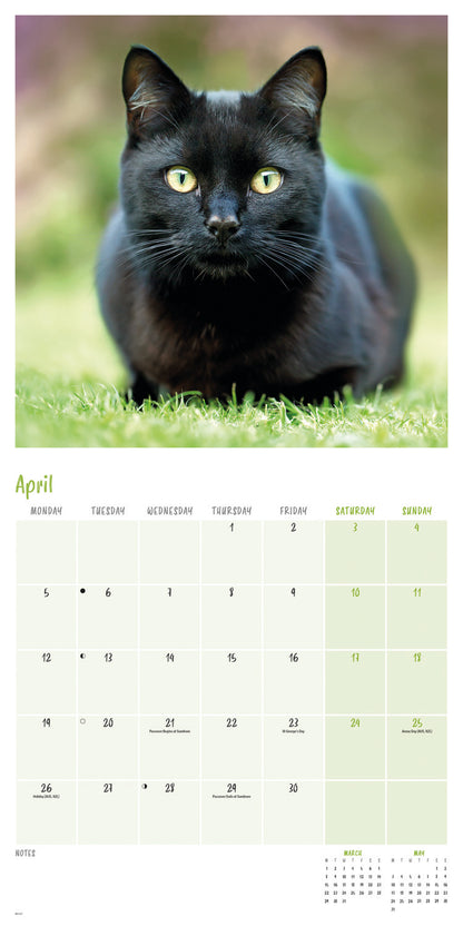Black Cats Wall Calendar 2027