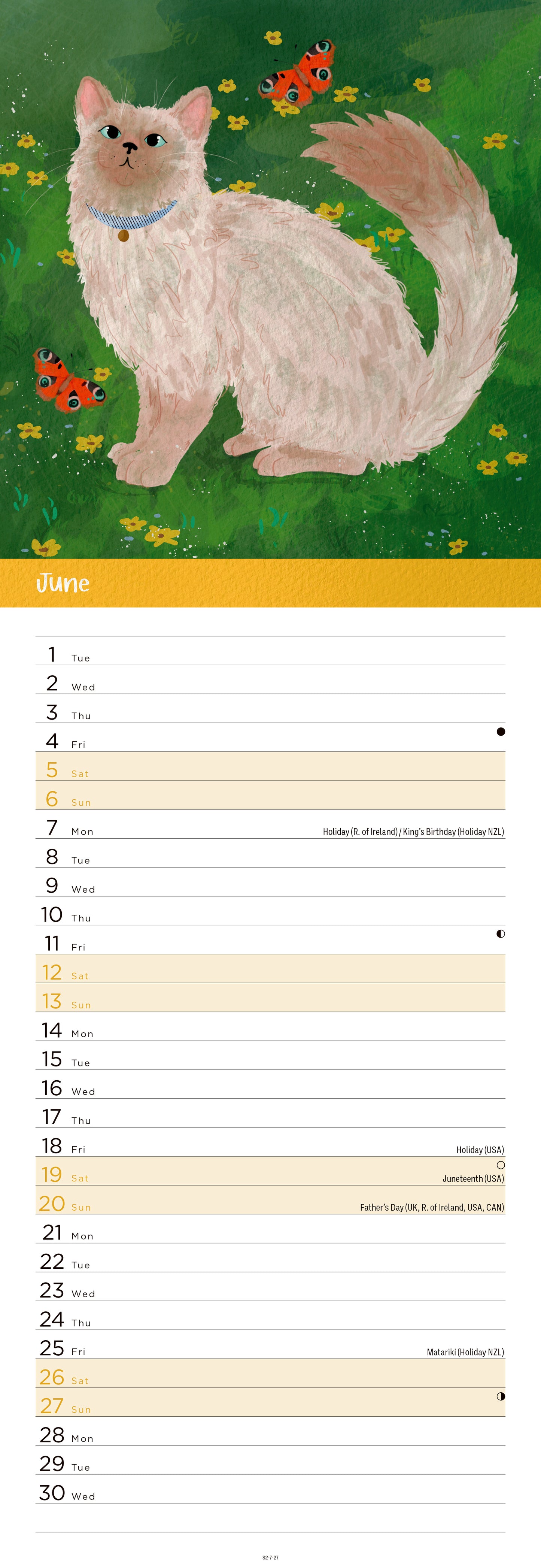 Cats Illustrated Slim Calendar 2027