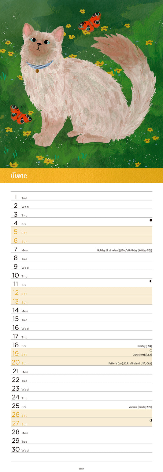 Cats Illustrated Slim Calendar 2027
