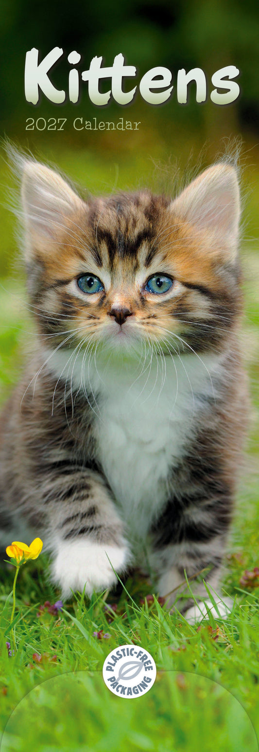 Kittens Slim Calendar 2027