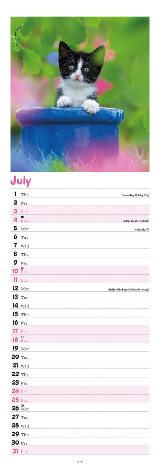 Kittens Slim Calendar 2027