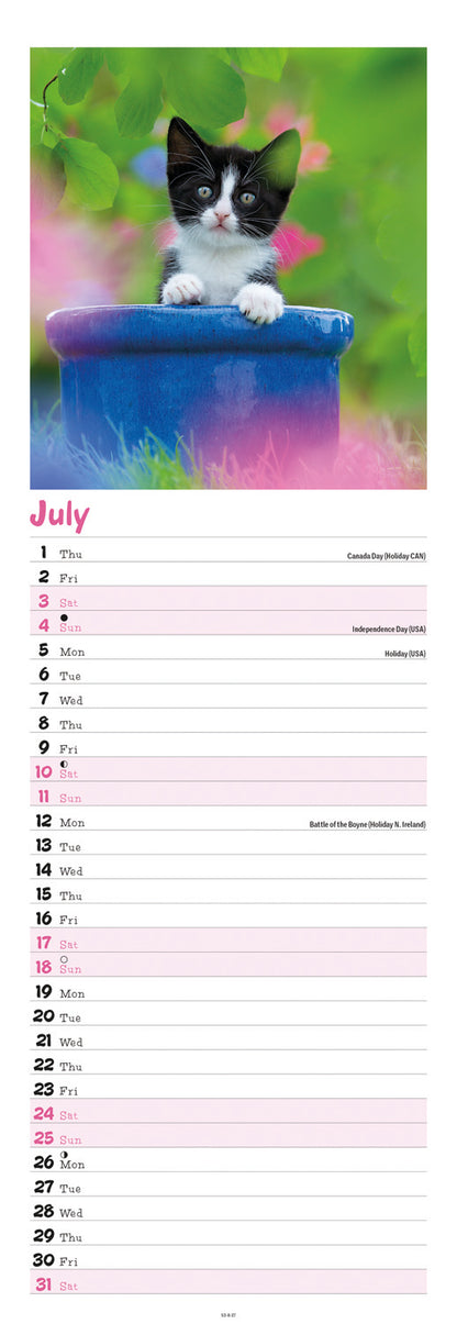 Kittens Slim Calendar 2027