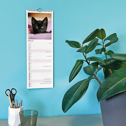 Kittens Slim Calendar 2027