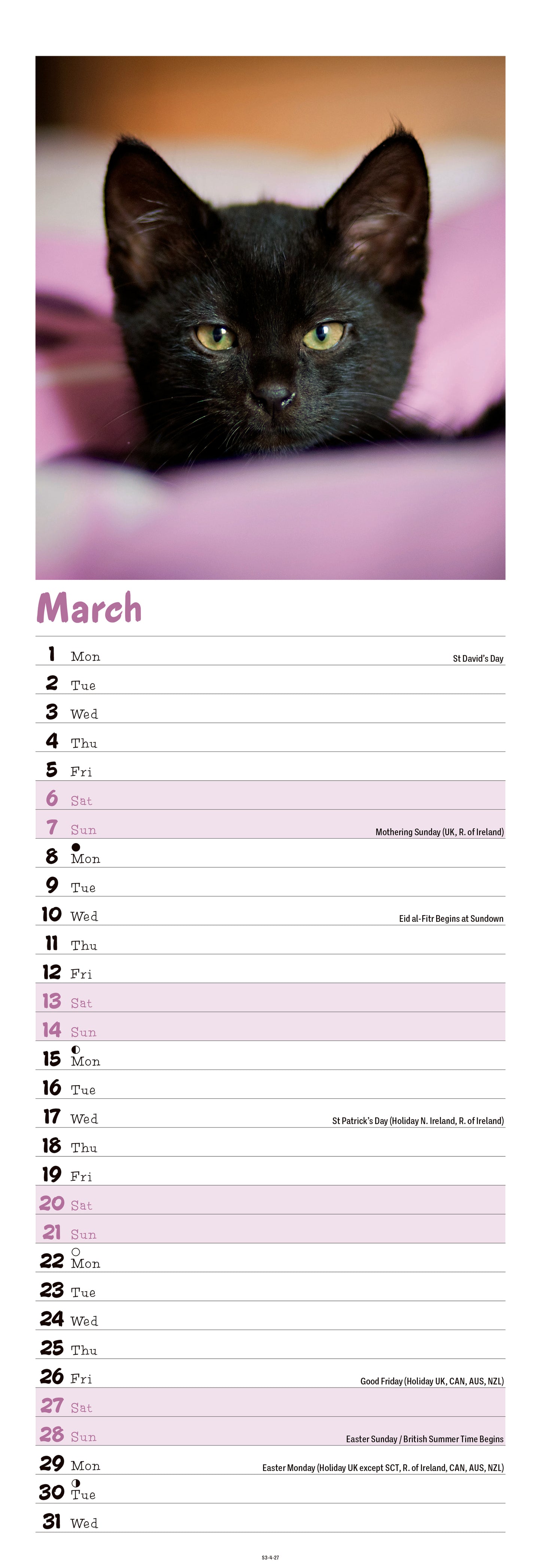Kittens Slim Calendar 2027