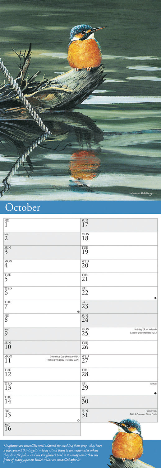 Garden Birds by P. Pickering Slim Calendar 2027