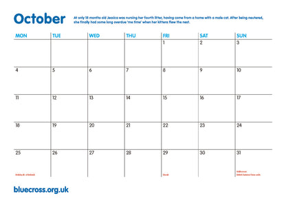 Blue Cross Calendar 2027
