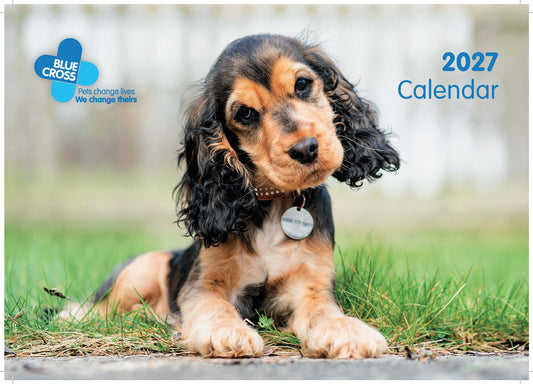 Blue Cross Calendar 2027