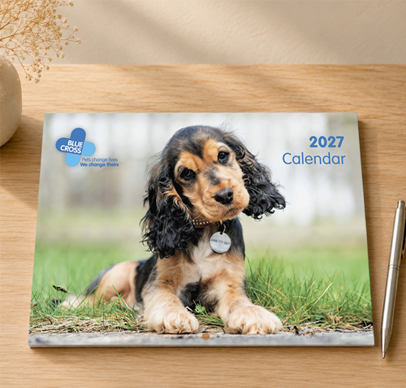 Placeholder for category tile 3. Replace this picture in the theme editor.