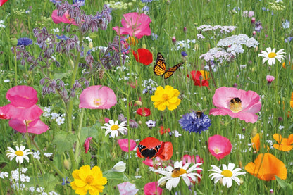 Bees Seed Shaker Butterfly & Bee