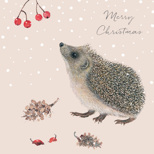 Winter Hedgehog and Berries 10 cards