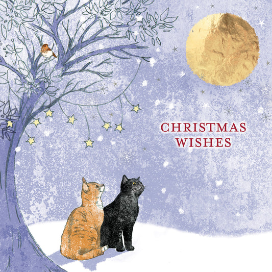 Gazing at the Moon 10 cards