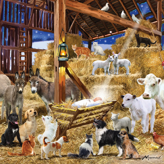 Nativity Night 10 cards