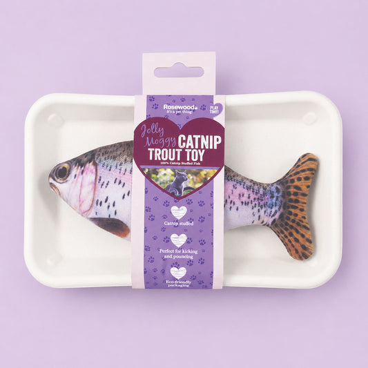 Catnip Trout
