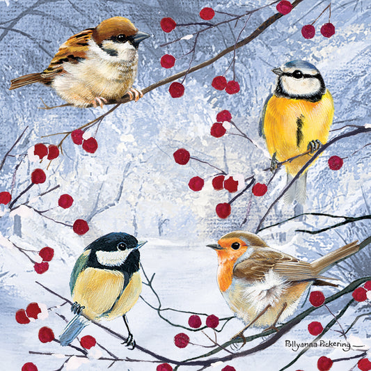 Birds and Berries 10 cards
