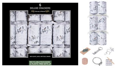 Deluxe Winter Bird Crackers