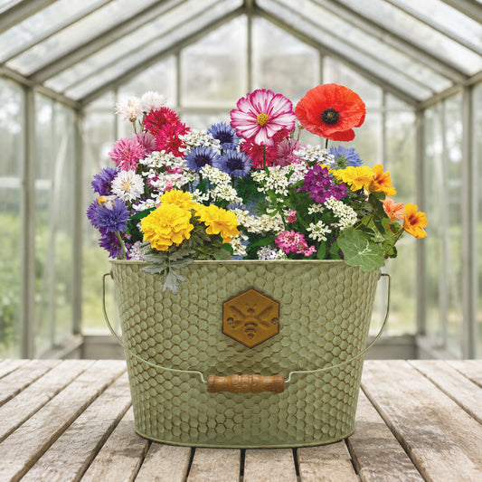 Honeycomb Wildflower Trough