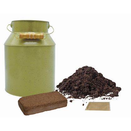 Petunia Milk Churn Grow Set