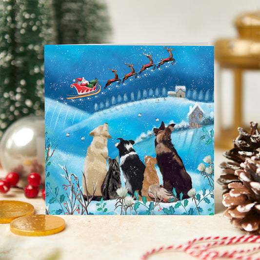 It's Christmas Time! Christmas Card Pack