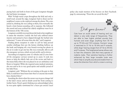 Cat Tales Book