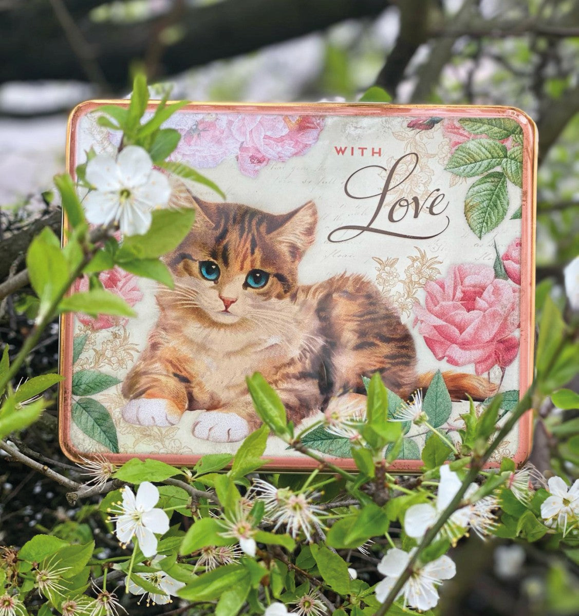 With Love Kitten Biscuit Tin