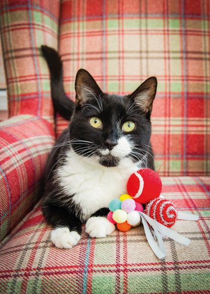 Festive Ball Cat Gift Box
