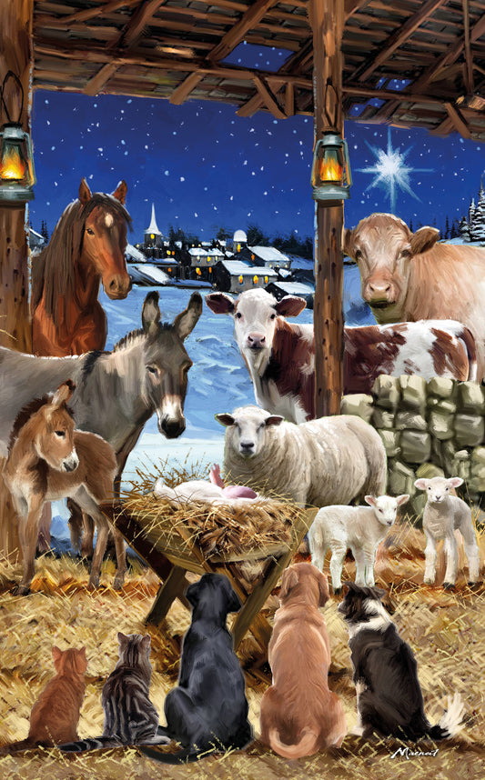 Around the Manger Christmas Cards