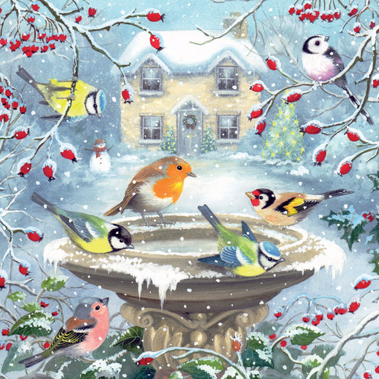 Feathered Friends Christmas Cards