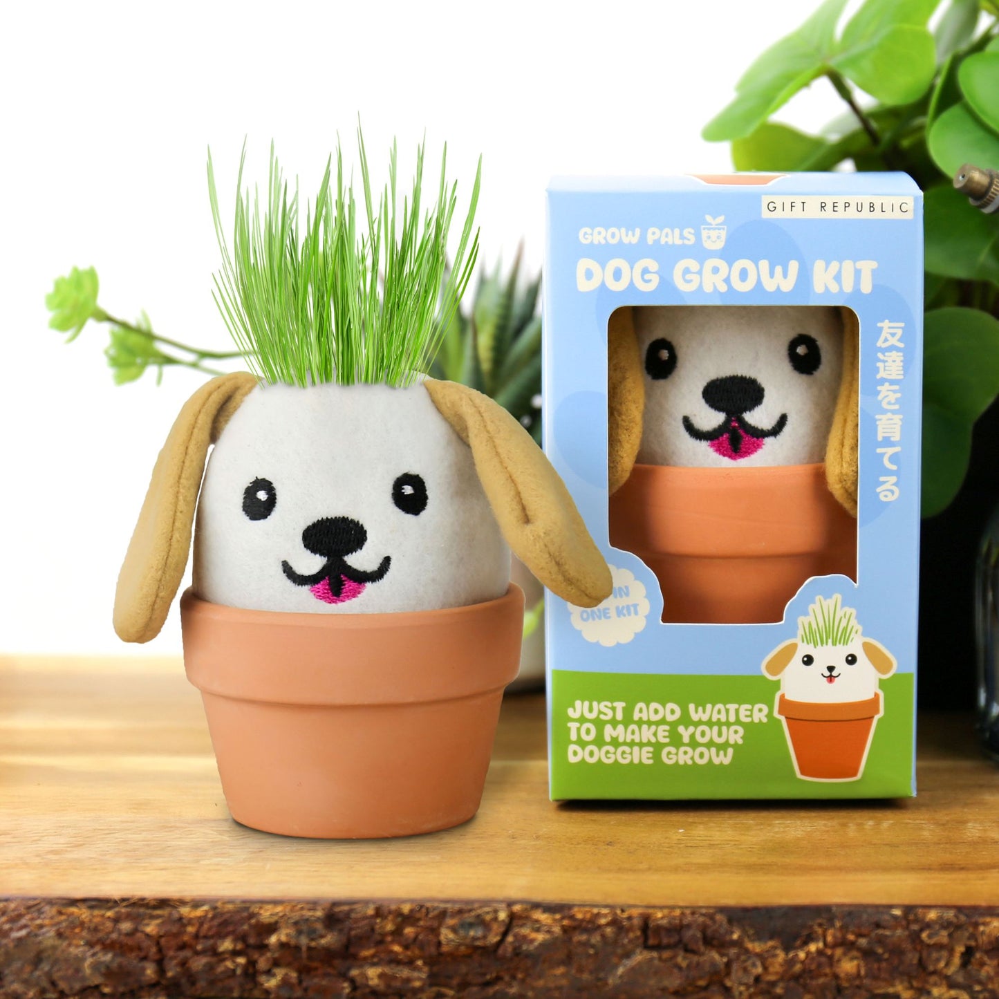 Dog Grow Pal