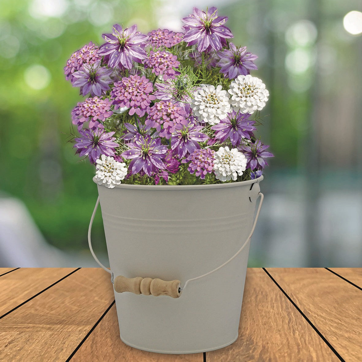 Nigella & Iberis Bucket