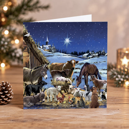 Around the Manger Christmas Cards