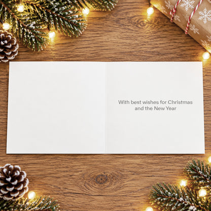 Winter Birds Christmas Cards