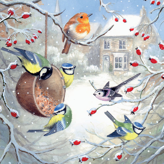 Winter Birds Christmas Cards