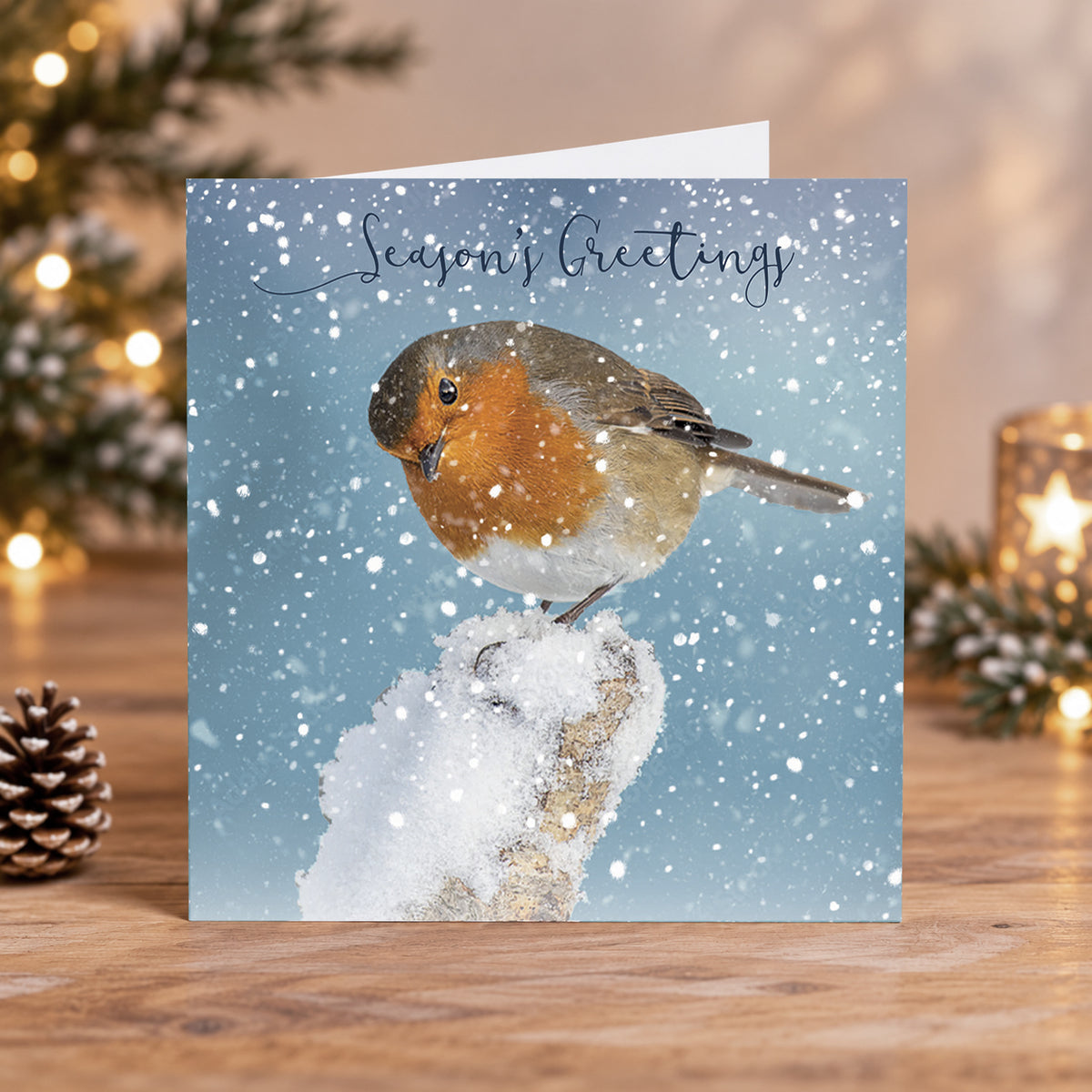 Snowy Robin Redbreast Christmas Cards