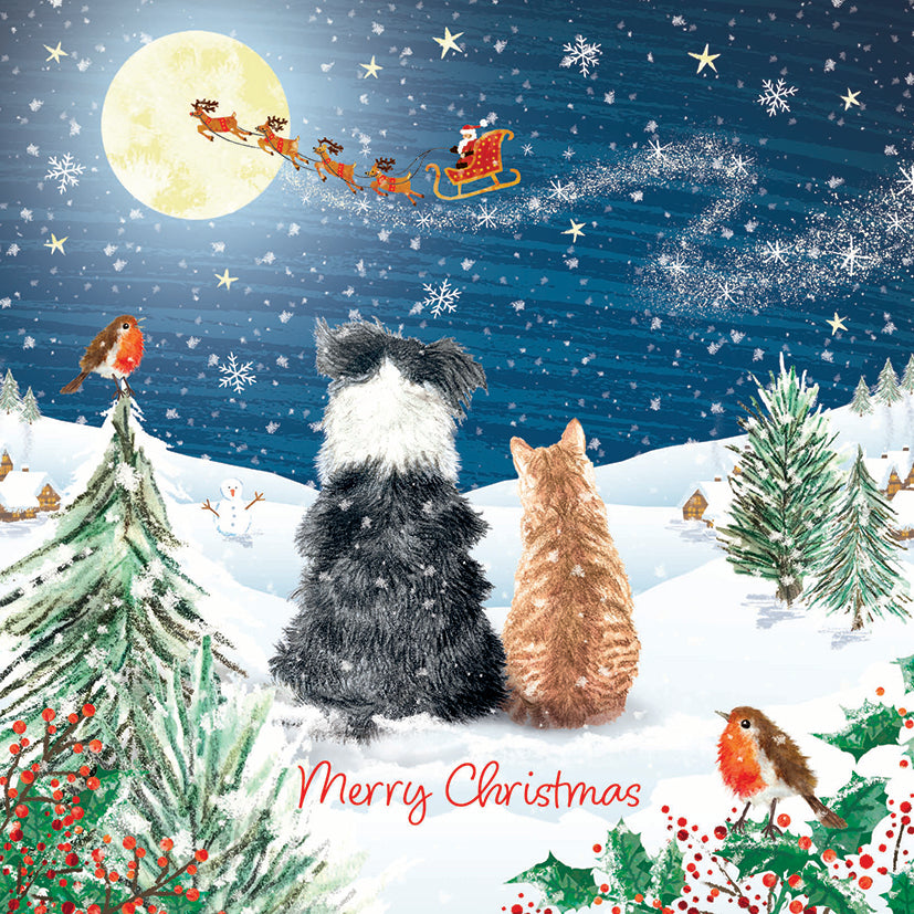 Santa's Here! Christmas Cards