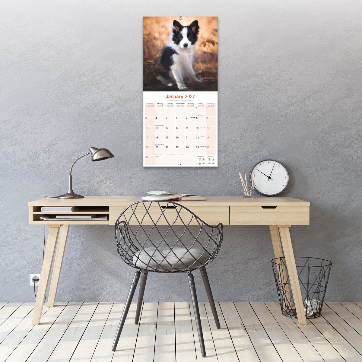 Border Collie Wall Calendar 2027