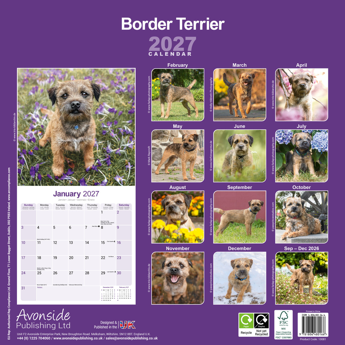 Border Terrier Wall Calendar 2027