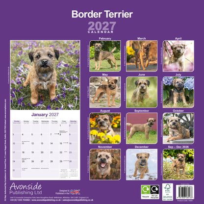 Border Terrier Wall Calendar 2027