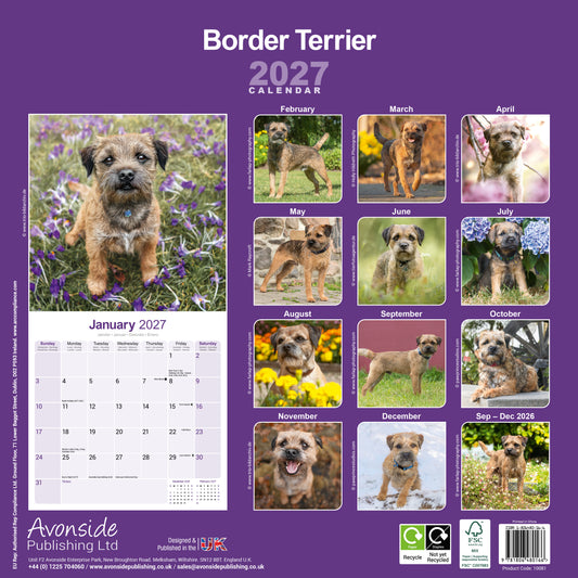 Border Terrier Wall Calendar 2027