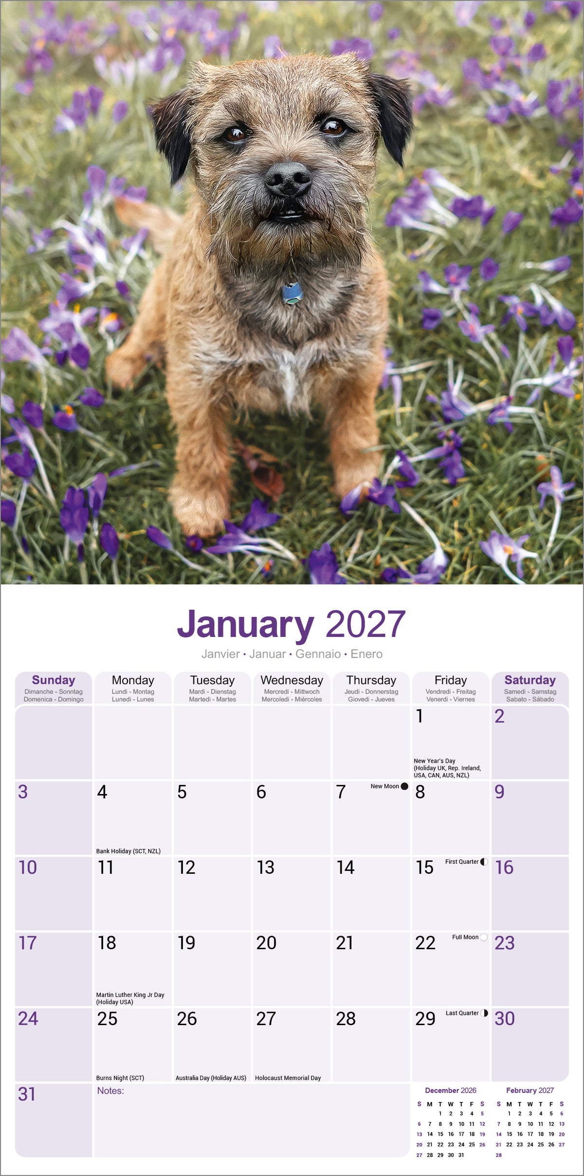 Border Terrier Wall Calendar 2027