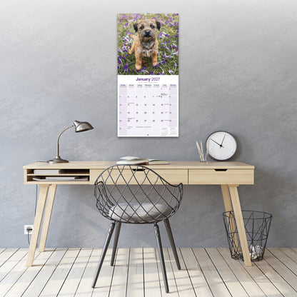 Border Terrier Wall Calendar 2027