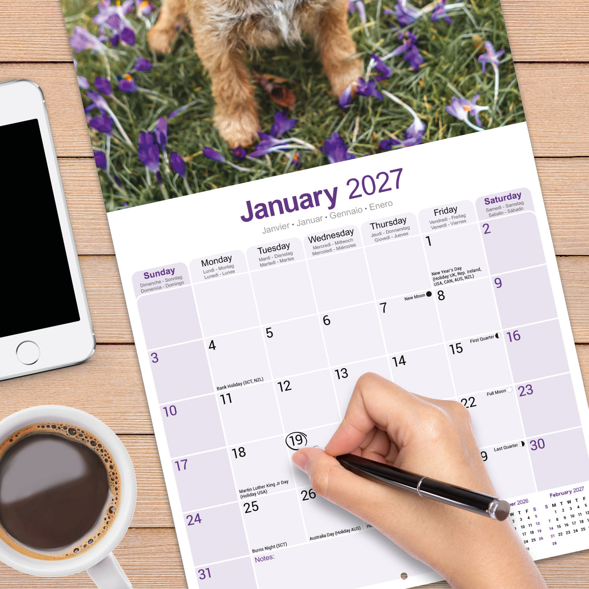Border Terrier Wall Calendar 2027