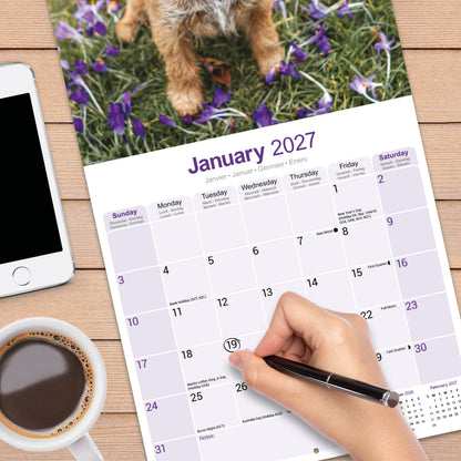 Border Terrier Wall Calendar 2027