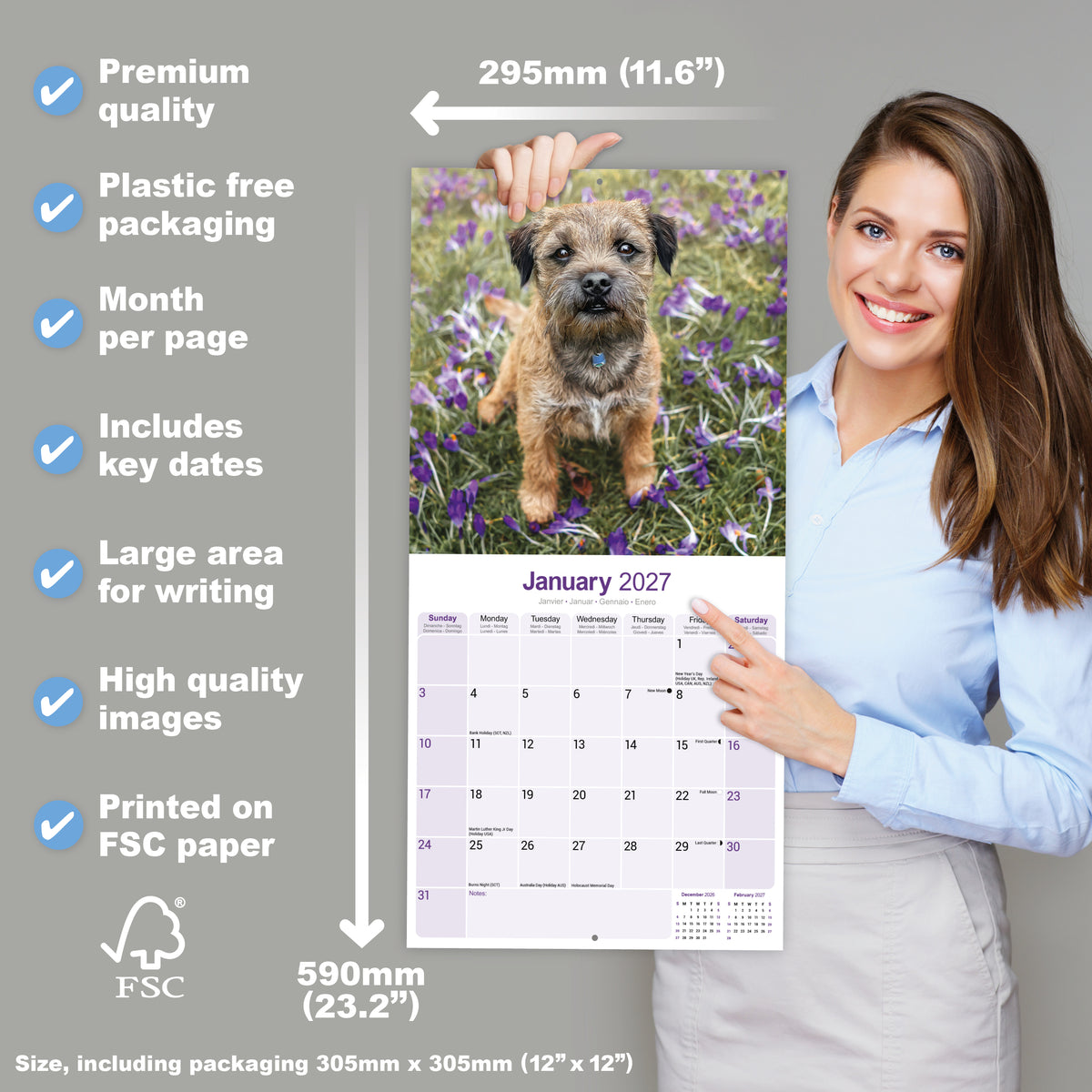 Border Terrier Wall Calendar 2027