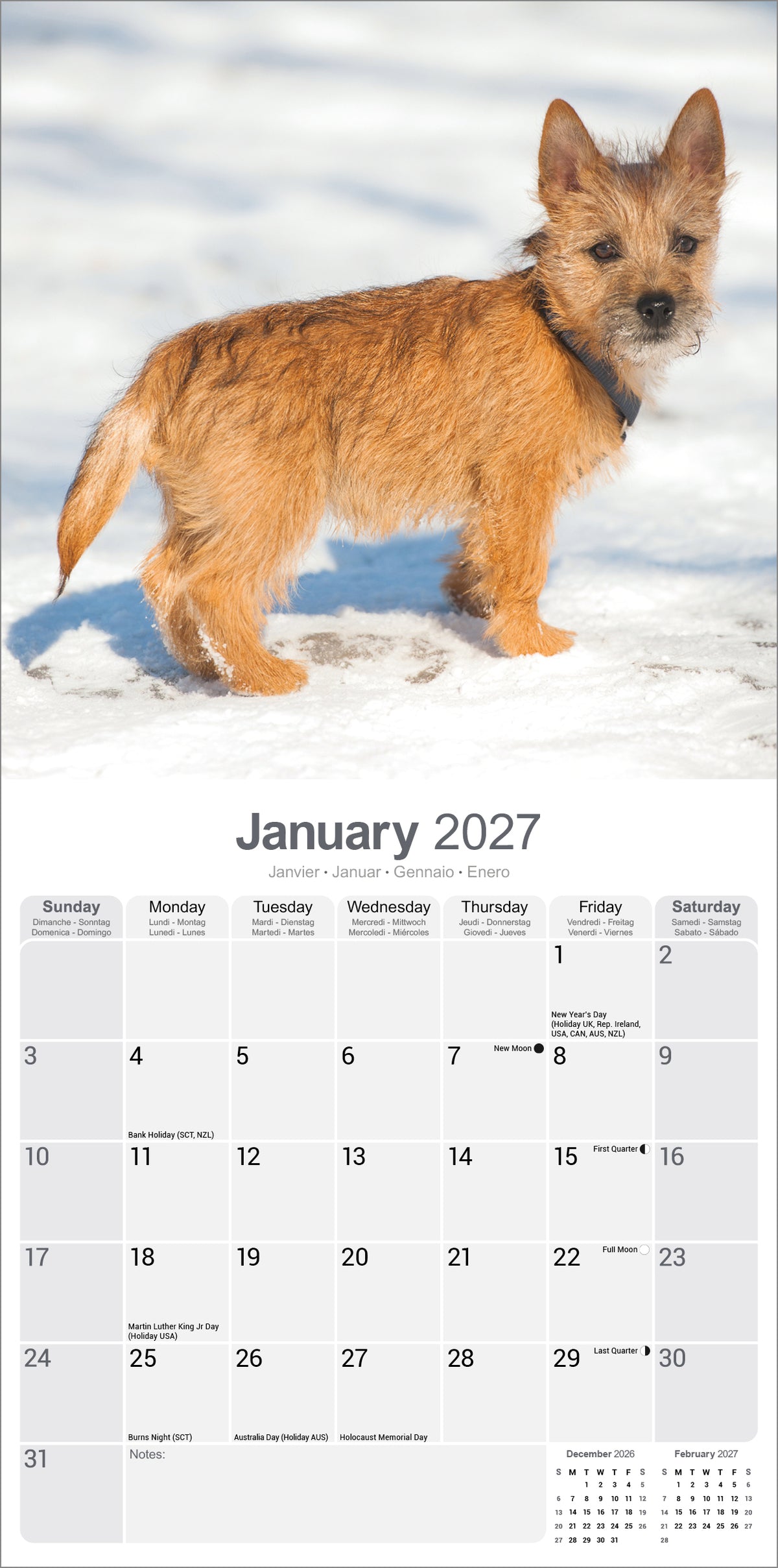 Cairn Terrier Wall Calendar 2027