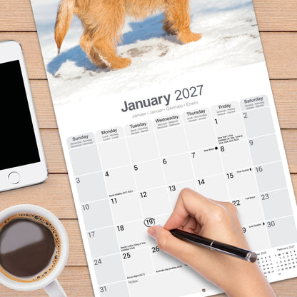 Cairn Terrier Wall Calendar 2027