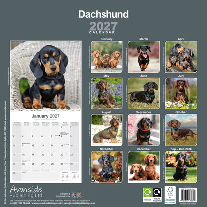 Dachshund Wall Calendar 2027