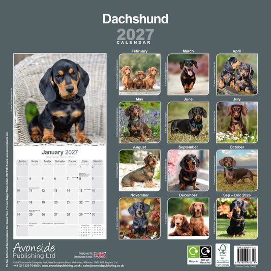 Dachshund Wall Calendar 2027